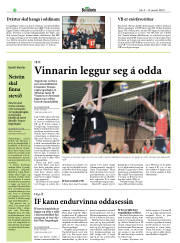Síða 28