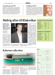 Síða 29