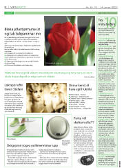 Síða 8
