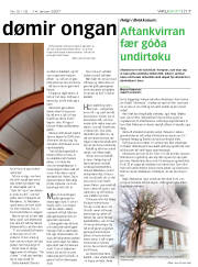 Síða 17