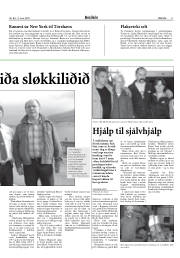 Síða 11
