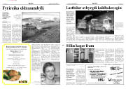 Síða 3