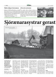 Síða 8