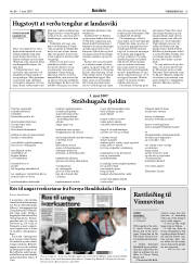 Síða 13
