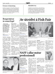 Síða 17