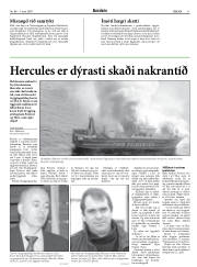 Síða 11