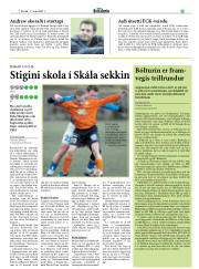 Síða 29