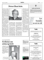 Síða 13