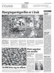 Síða 8