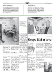Síða 17