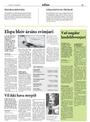Síða 31
