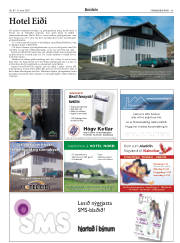 Síða 45