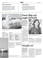 Síða 11