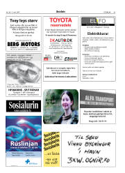 Síða 43