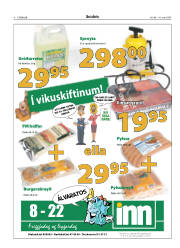 Síða 6