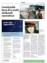 Síða 2