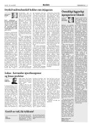 Síða 13