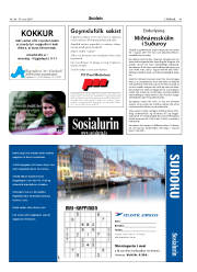 Síða 43