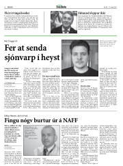 Síða 8