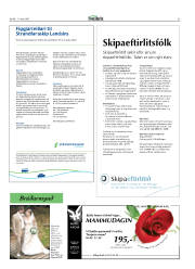 Síða 31