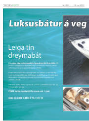 Síða 12