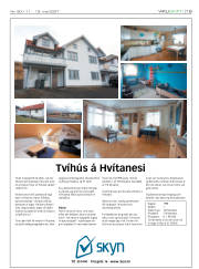 Síða 19