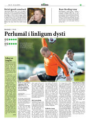 Síða 19
