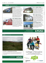 Síða 21