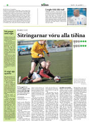 Síða 22