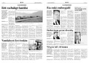Síða 6