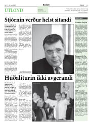 Síða 29