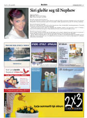 Síða 41