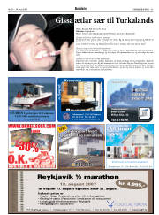 Síða 43