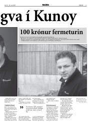 Síða 17