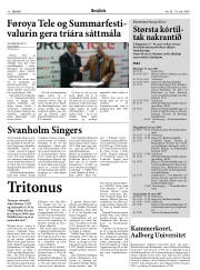 Síða 18