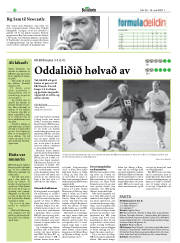 Síða 34