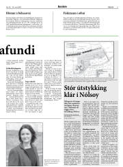 Síða 11