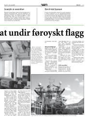 Síða 17