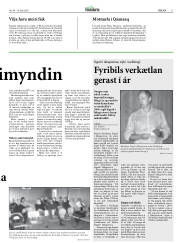 Síða 11