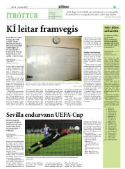 Síða 29