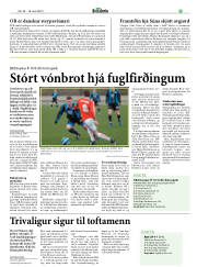 Síða 33