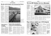 Síða 6