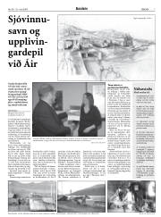 Síða 7