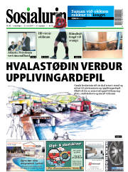 Síða 1