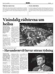 Síða 17