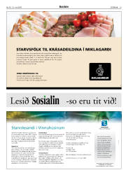 Síða 19