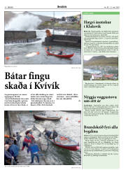 Síða 20