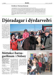 Síða 22