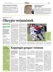 Síða 25