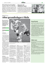 Síða 29